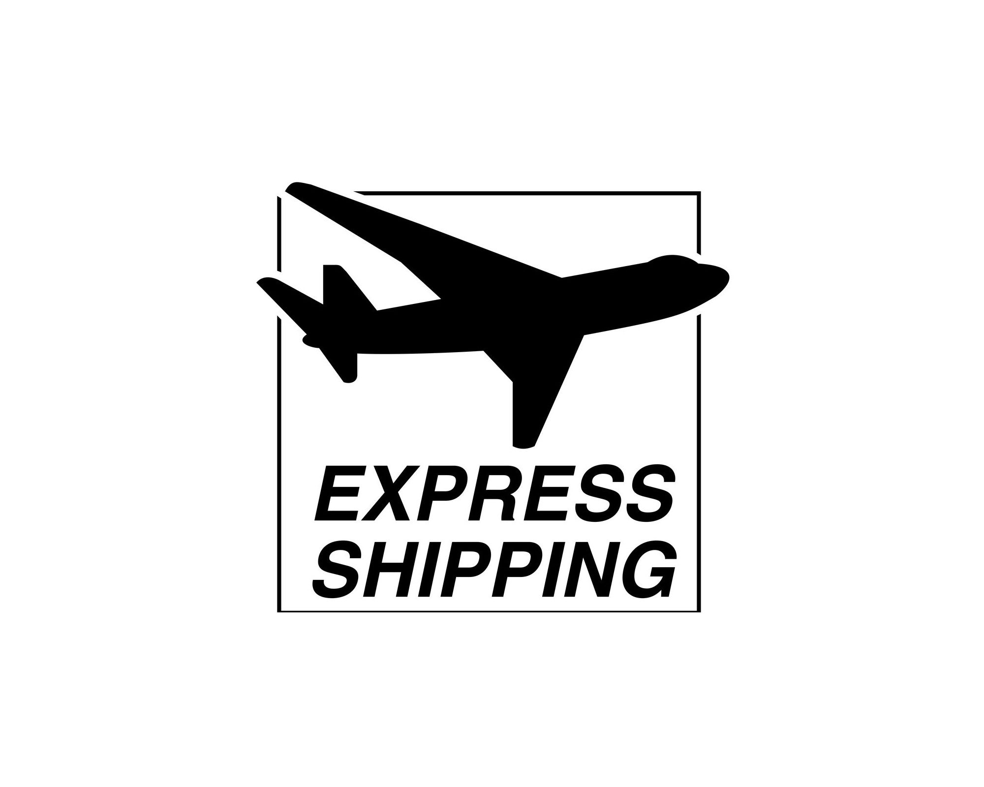 Express delivery Upgrade/UPS/ express shipping service (without product)