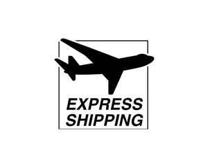 Express delivery Upgrade/UPS/ express shipping service (without product)